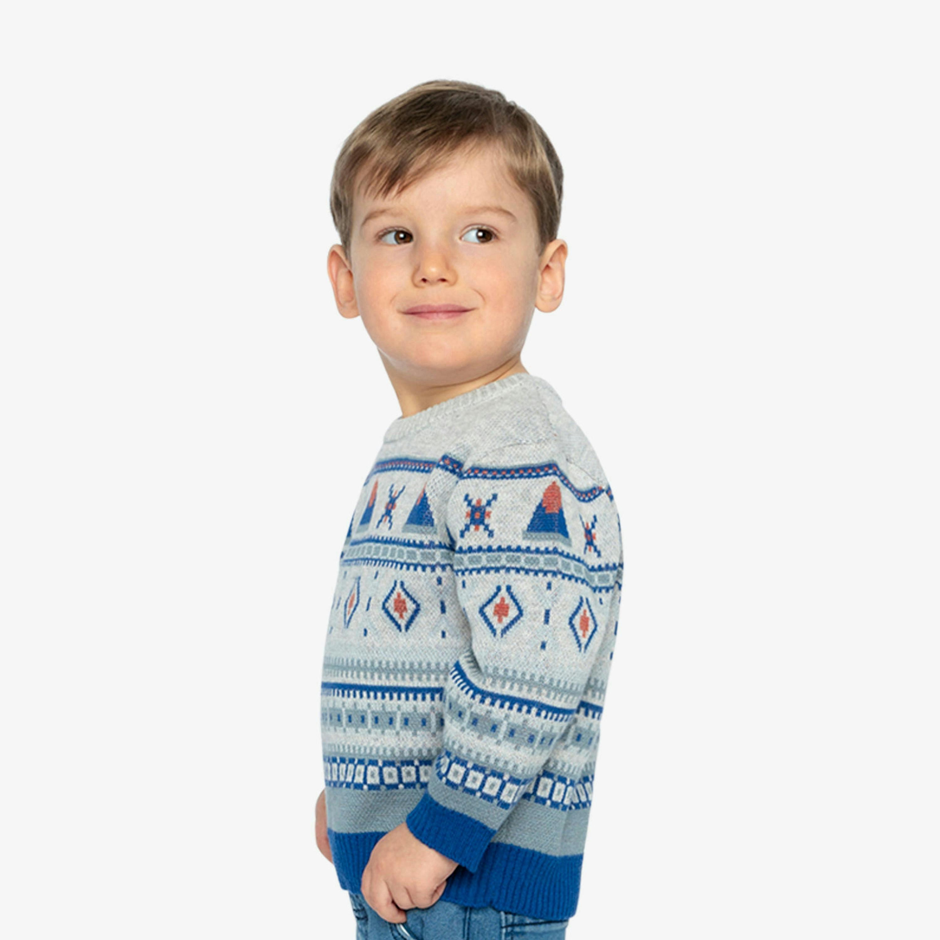 Jacquard Knit Sweater Blue And Beige , view 5 of 5