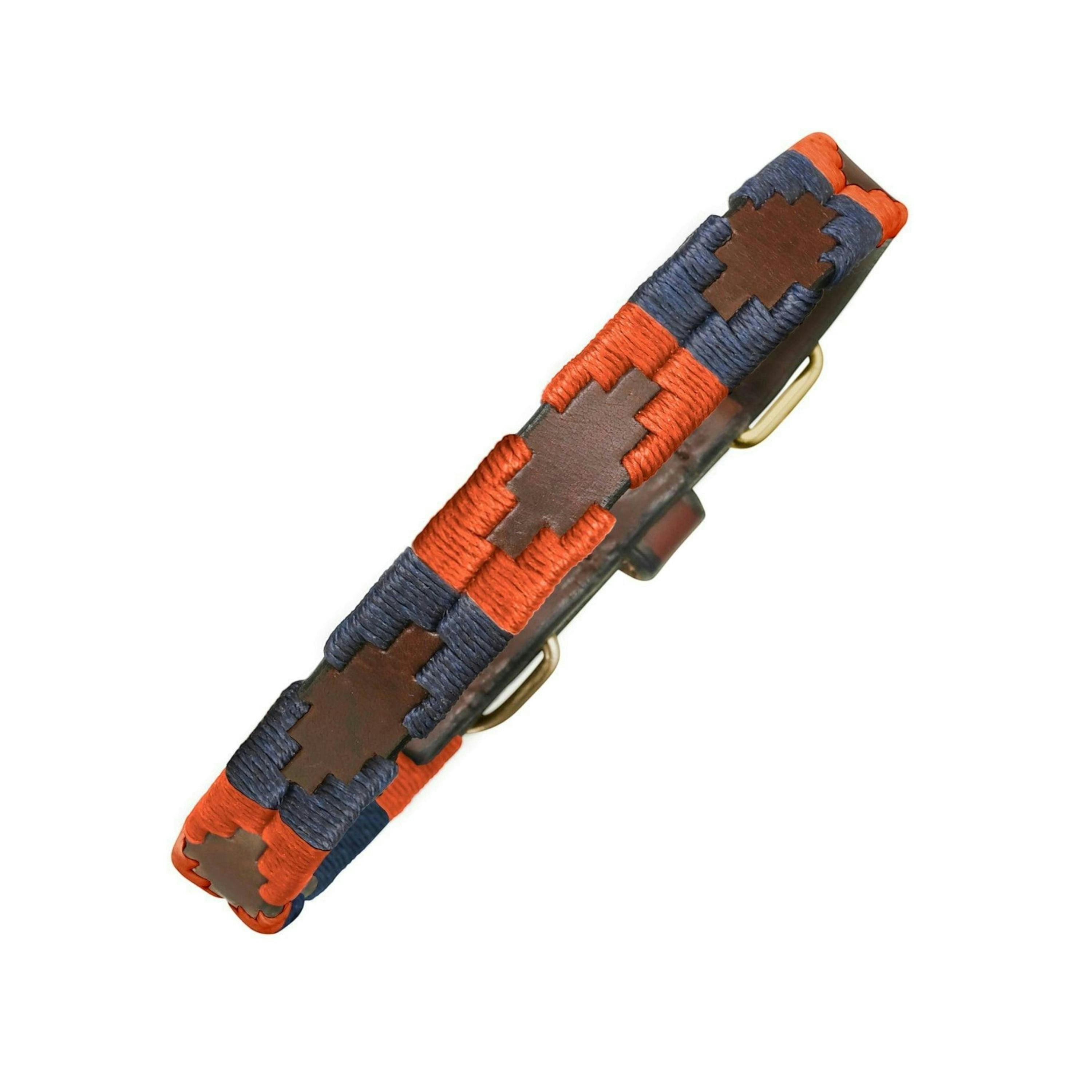 dog collar - Audaz , view 1 of 1