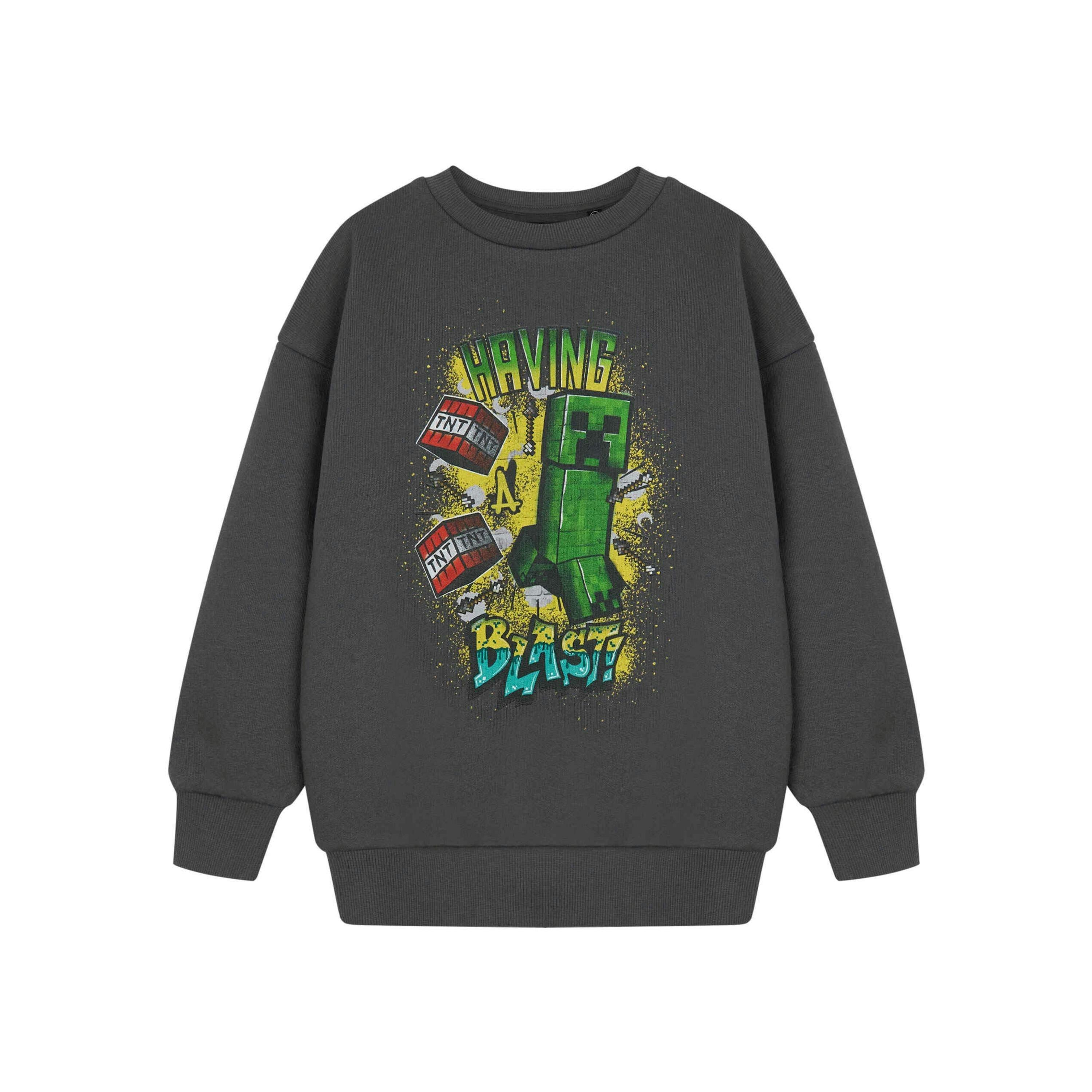 Minecraft Boys Grey Having A Blast Sweatshirt by Vanilla Underground , view 1 of 1