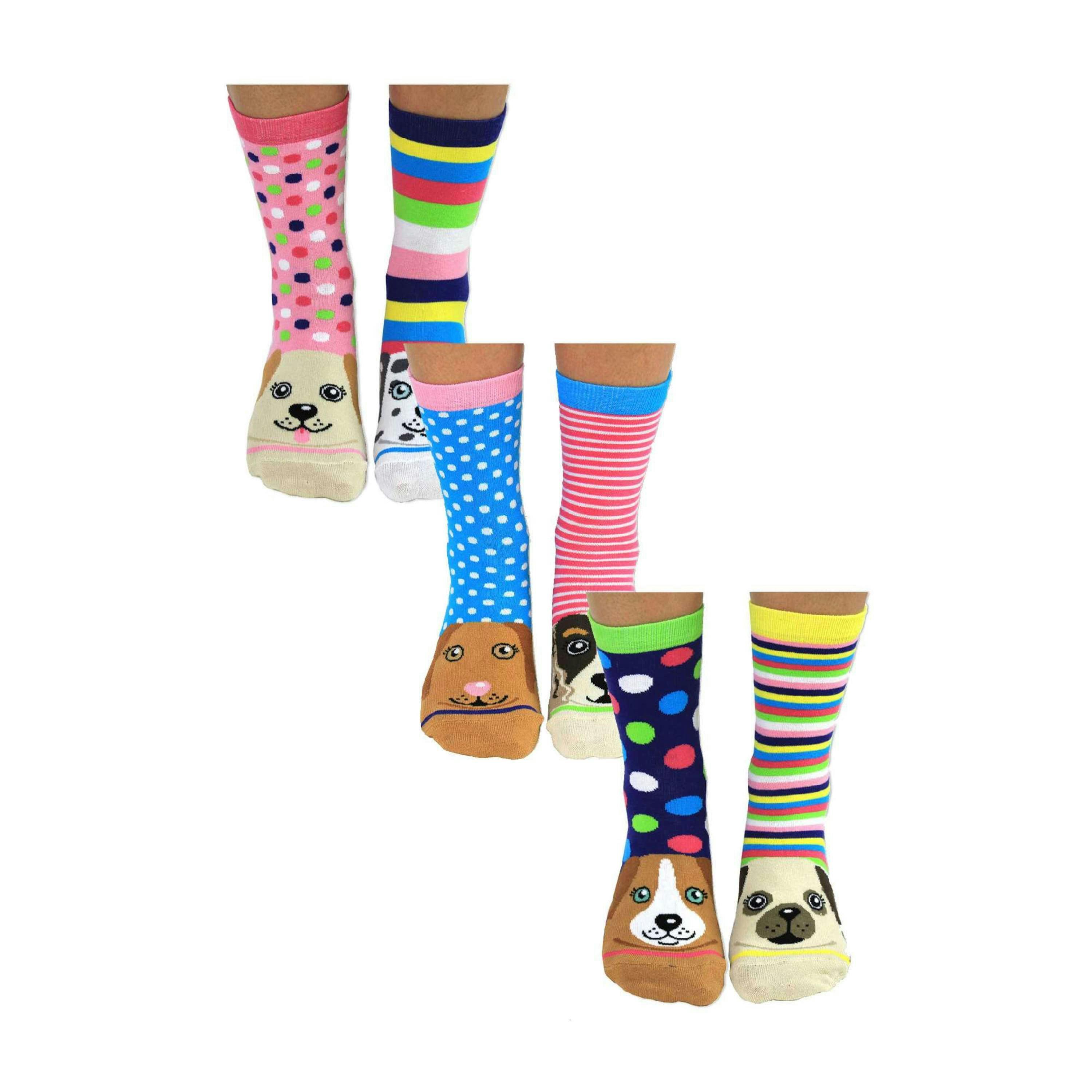6 Pack Ladies Puppy Dog Novelty Odd Socks in Gift Box , view 1 of 5