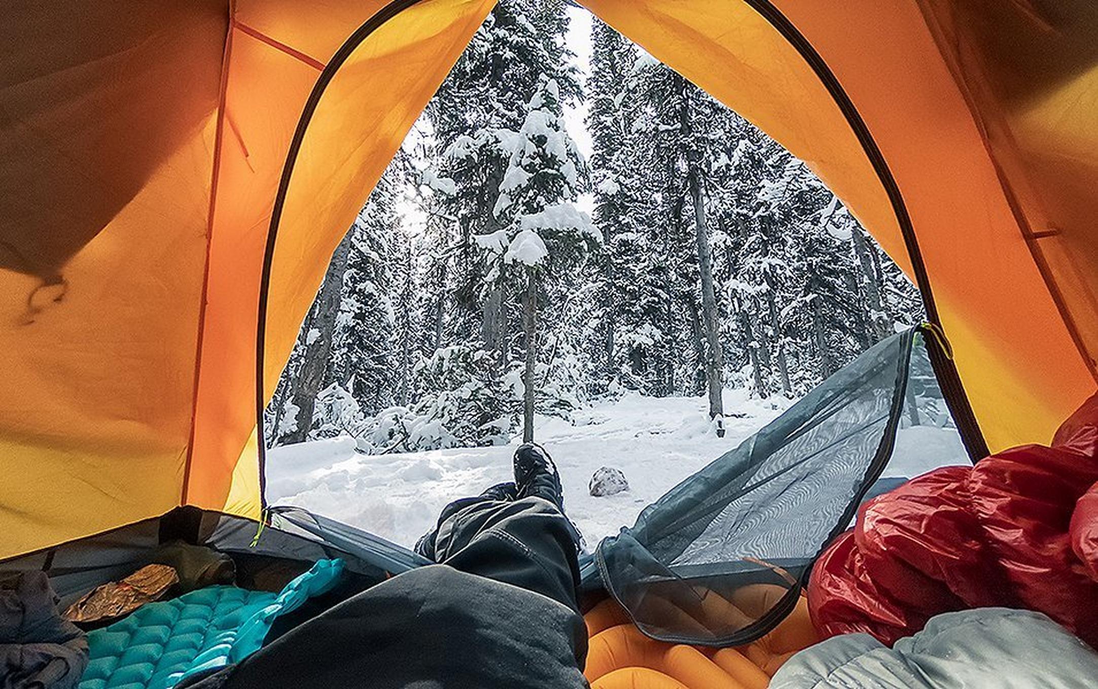 A close-up image of the view outside an orange tent showing beautiful snow-covered trees.