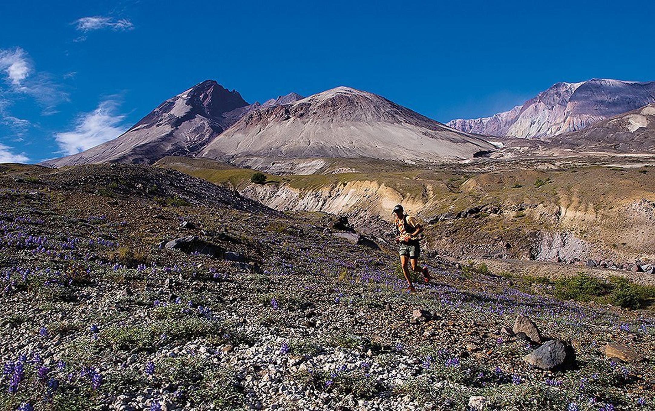 Yassine Diboun runs across a beautiful landscape with purple wildflowers in the foreground and mountains in the background.