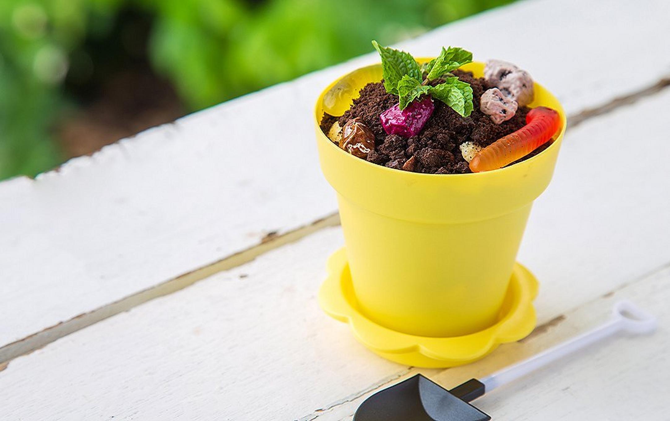 A yellow flower pot with plant sitting on a white table.