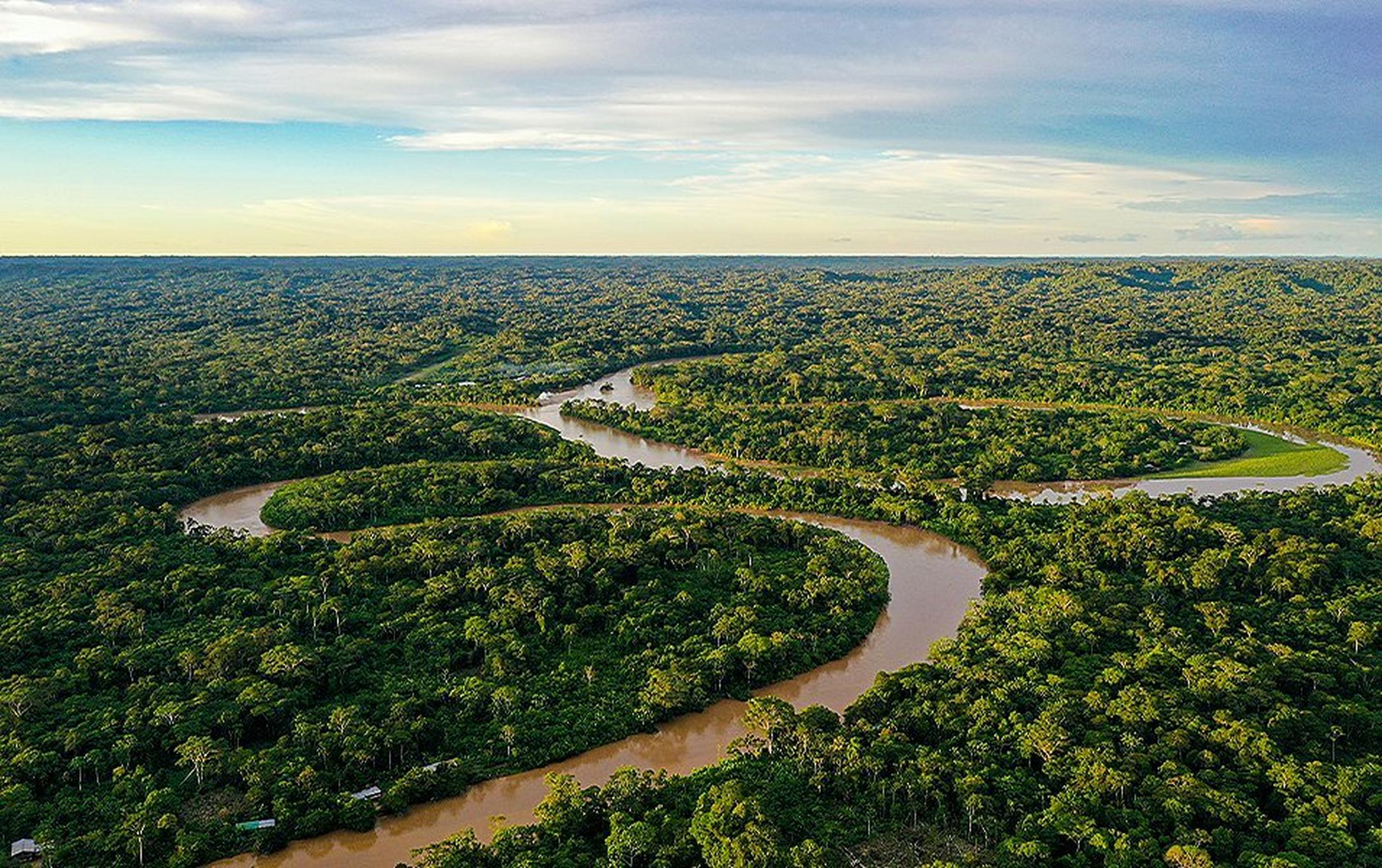 An aerial shot of a muddy river winding through a lush green forest.