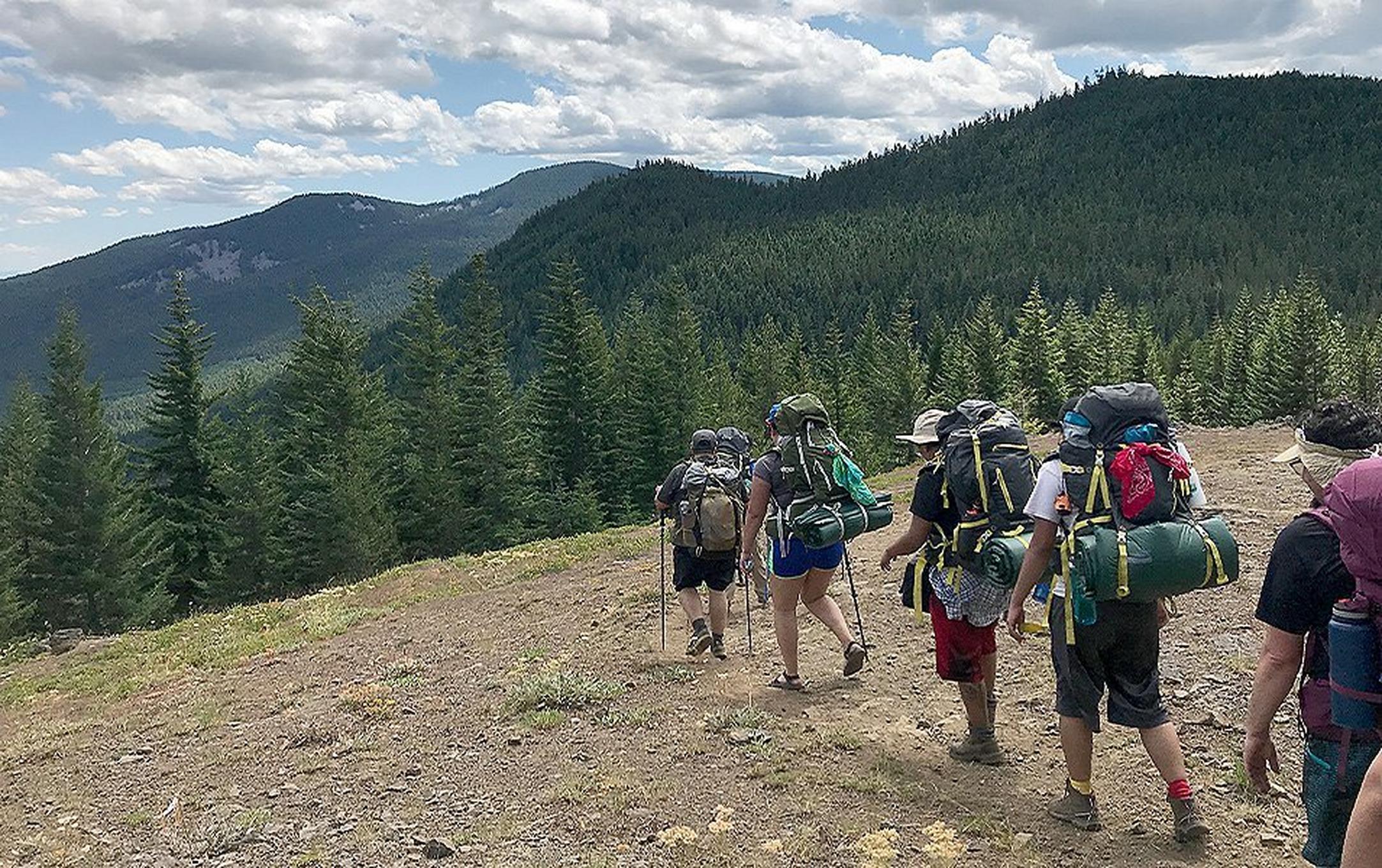 Group of hikers walking through a forest.