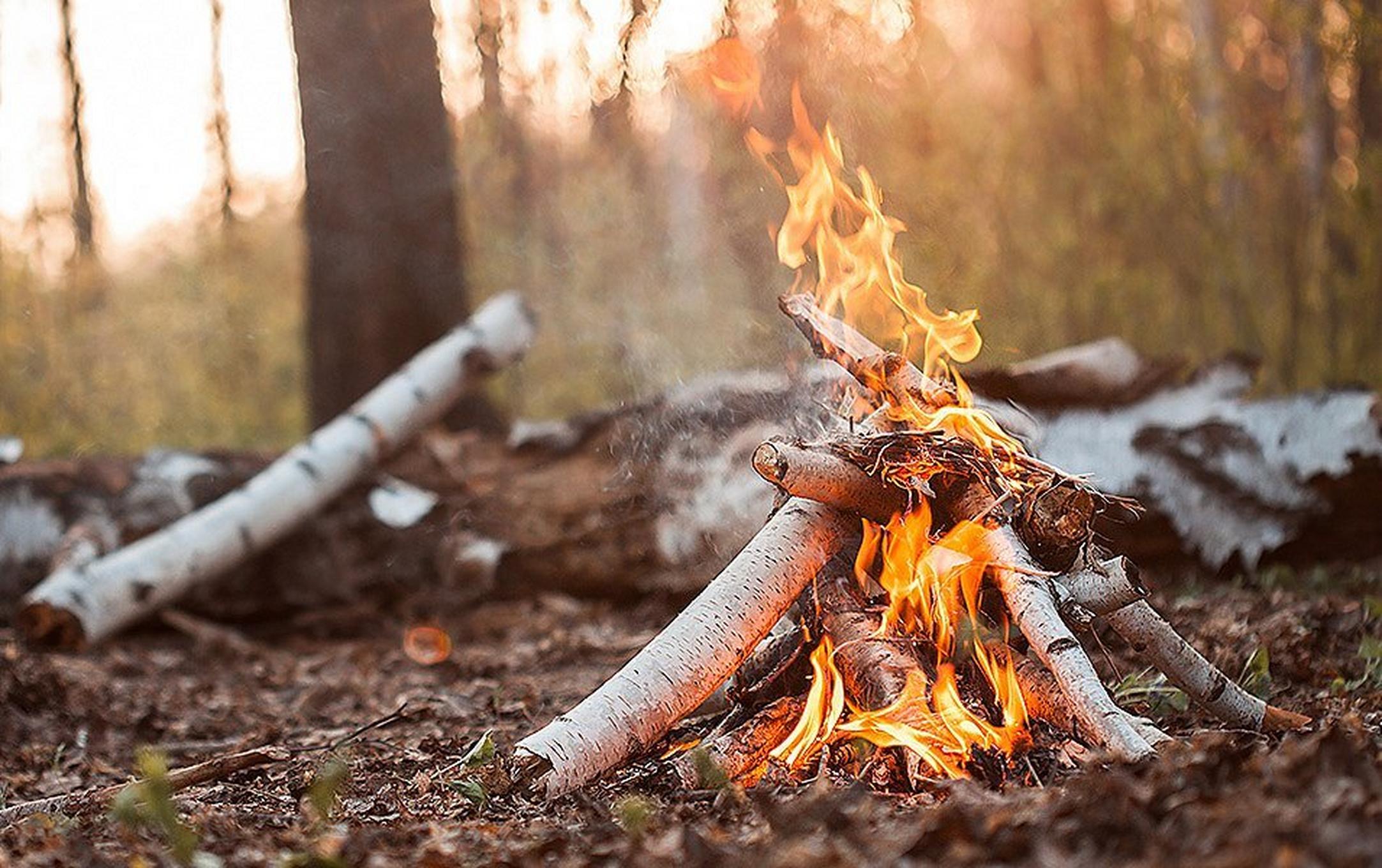 A tipi-style campfire made of white birch burns brightly in the late afternoon.