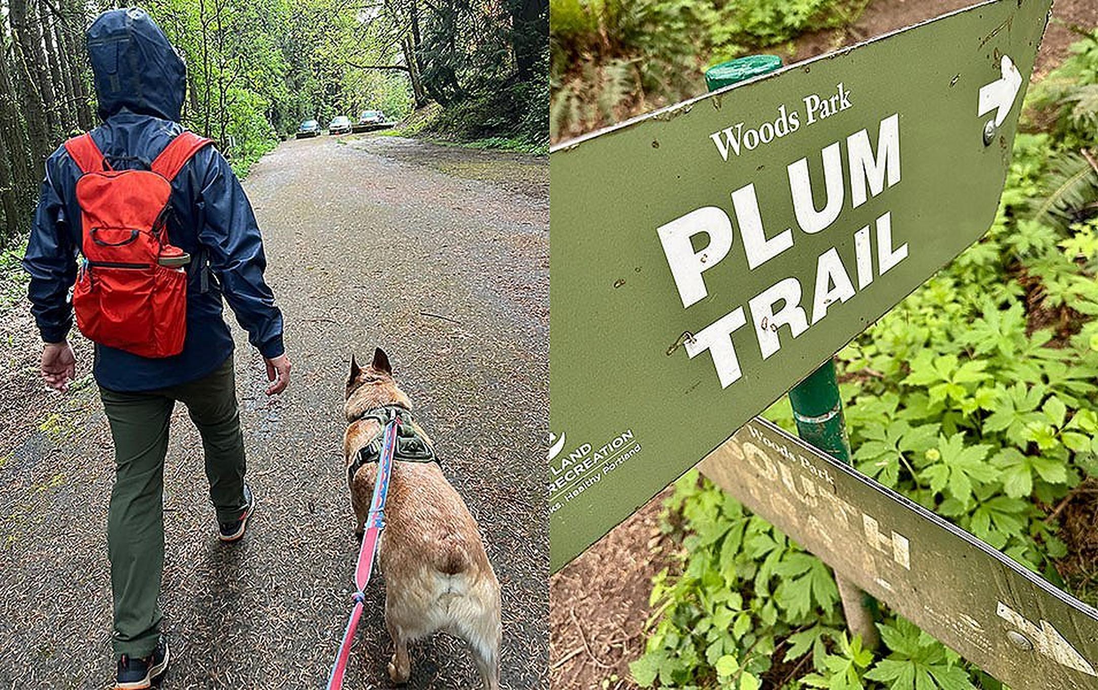 On the left, a man hikes away from the camera with his dog; on the right, a sign that reads “Plum Trail” is pictured surrounded by green foliage.