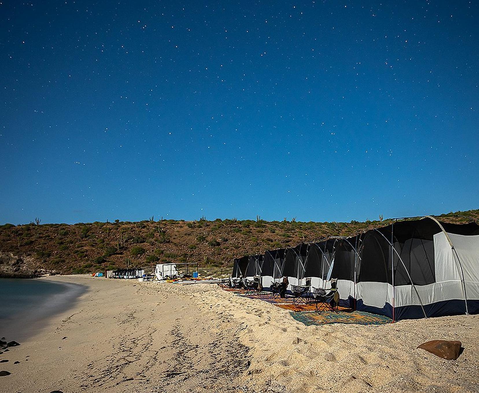 A row of glamping tents lines the beach with the blue ocean to the side.
