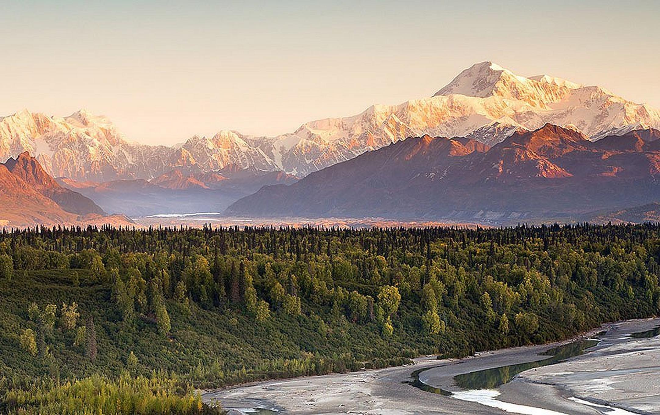 Towering mountains are pictured behind a lush green forest at Denali National Park in Alaska.