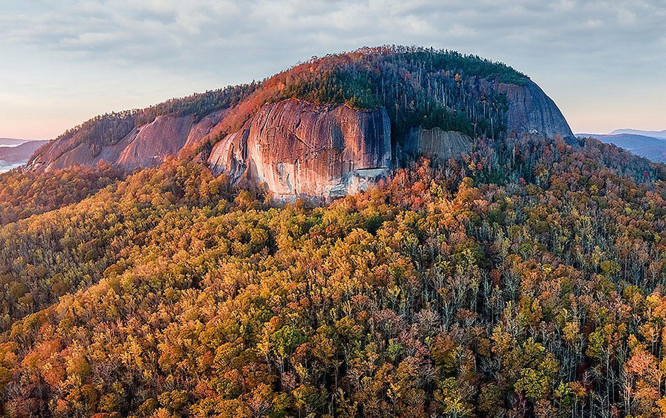 The stunning orange sunlight falls on trees by the coastline at Blue Ridge Parkway.