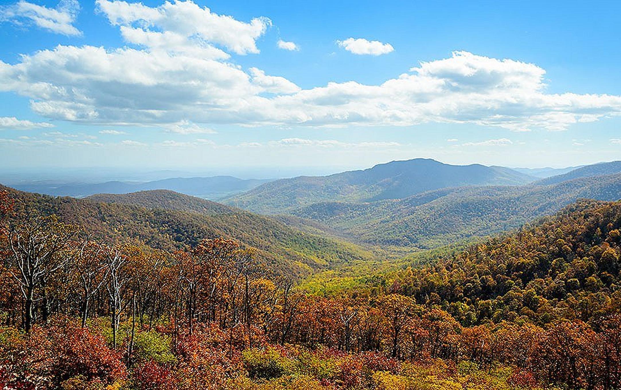 A valley of green trees mixed with beautiful fall foliage is pictured at Shenandoah National Park.