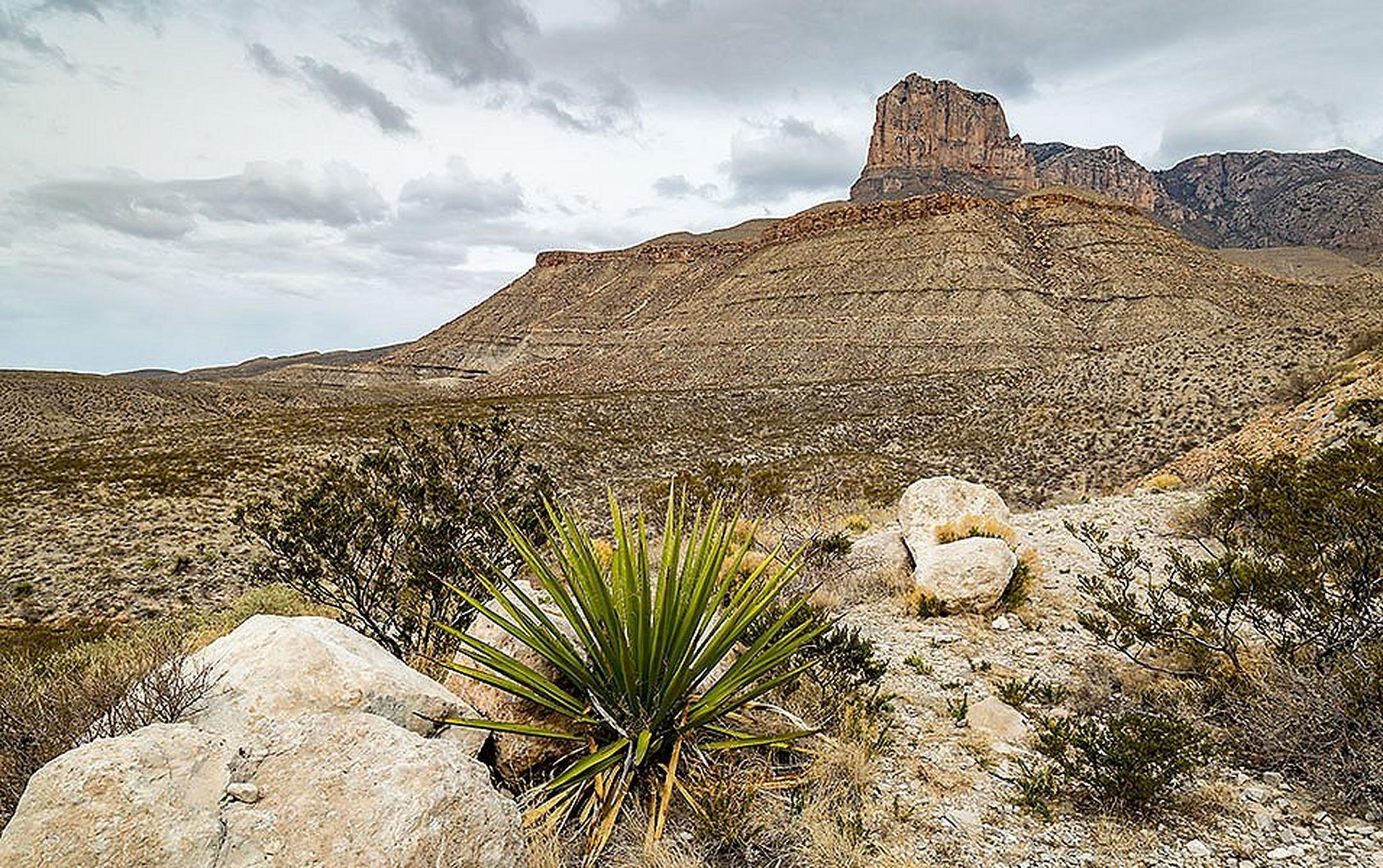 A rolling desert landscape is pictured at Guadalupe Mountains National Park in Texas.
