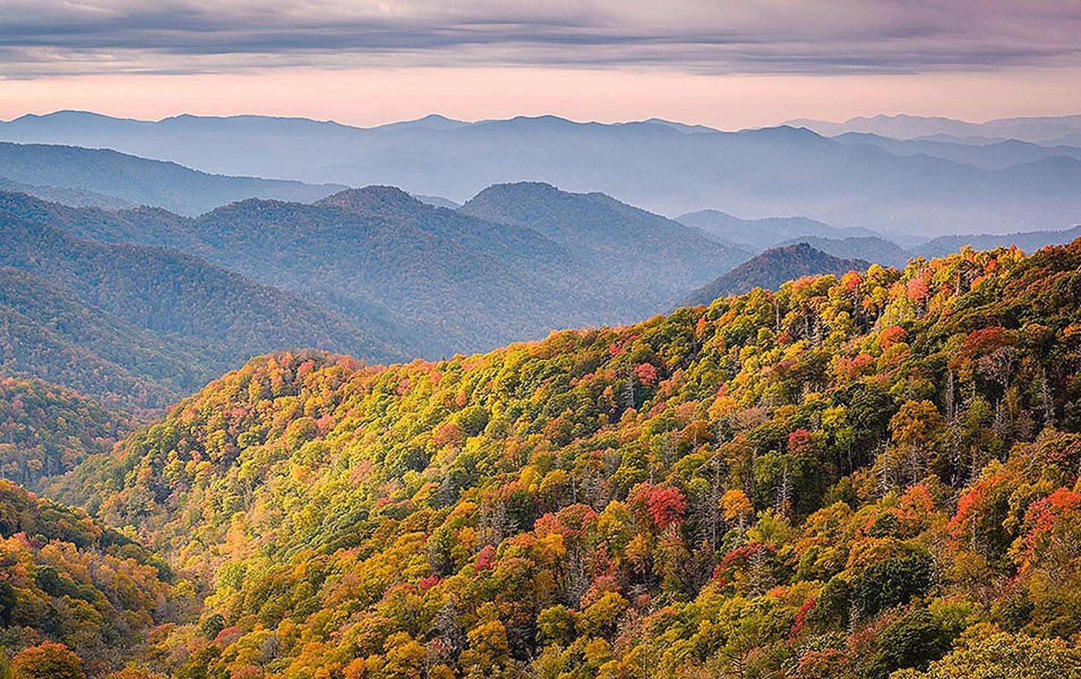 Lush forests boasting orange, red, green, and yellow foliage roll into the distance at Great Smoky Mountains National Park.