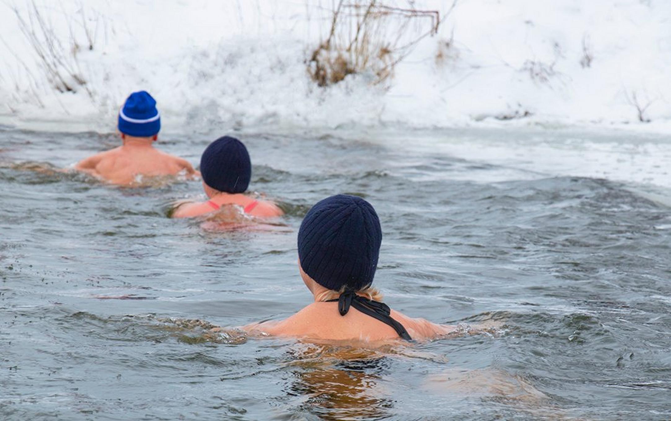 A group of cold plunging aficionados swim in frigid-looking water surrounded by snow.