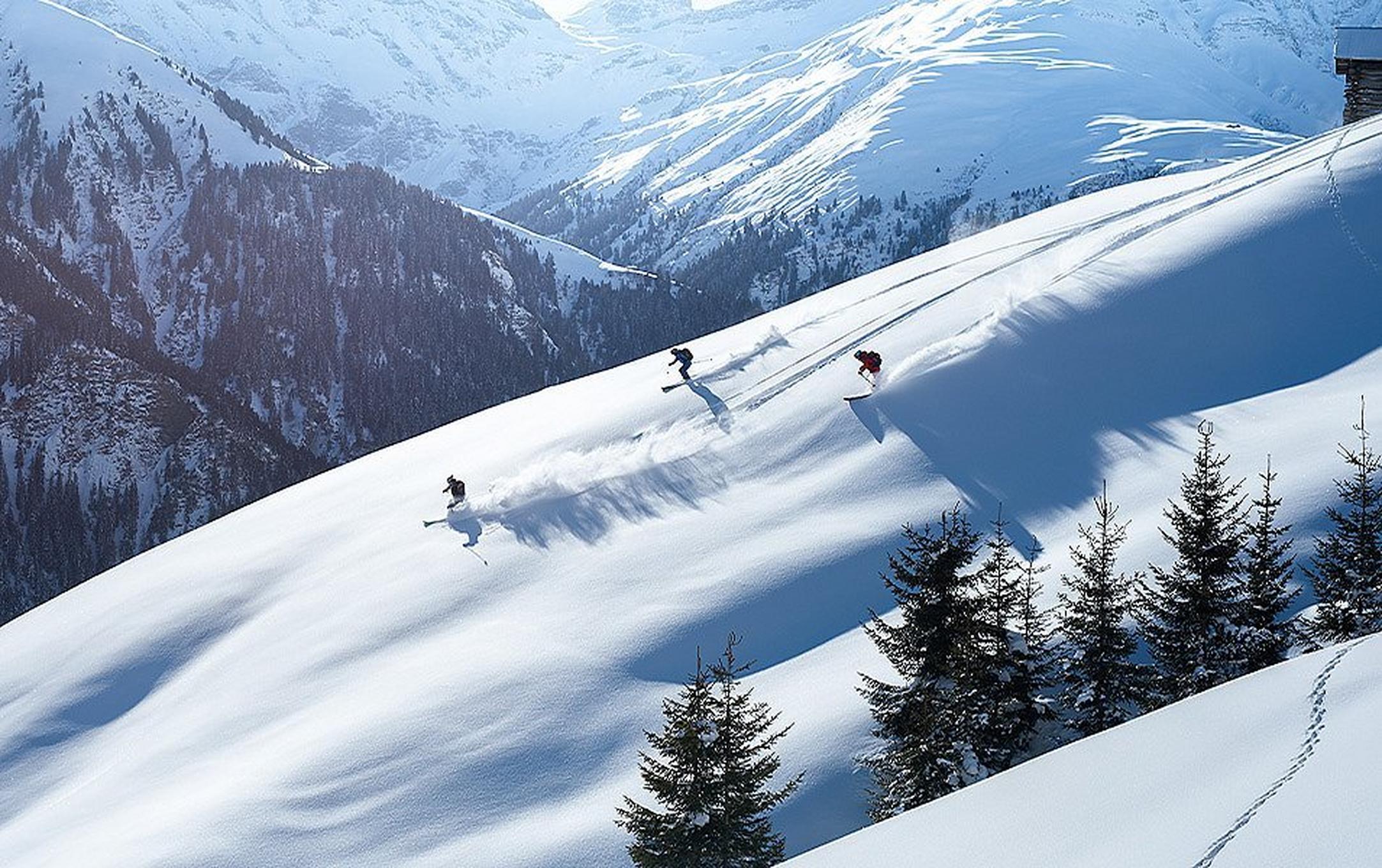 Three skiers navigate through an untracked glade deep in the backcountry.
