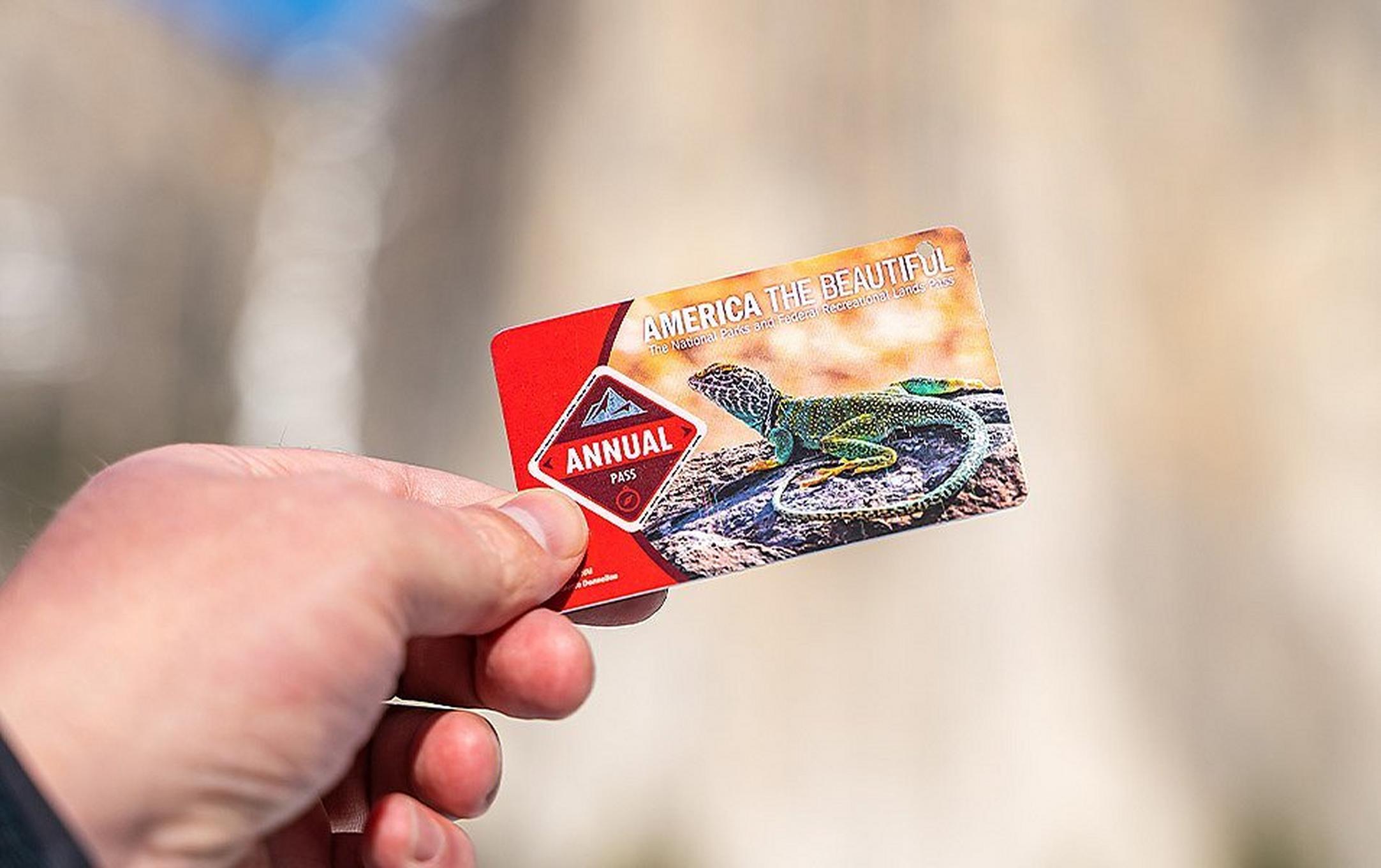 A hand holding up an America The Beautiful National Parks pass.