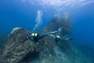 SUBEA - EU 40-41  Scuba Diving Fins SCD 500, Deep Navy Blue