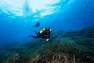 SUBEA - EU 44-45  Scuba Diving Fins SCD 500, Deep Navy Blue