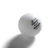 PONGORI - Table Tennis Balls Ttb 900C 40+ 3X 4 - White