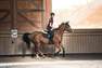 FOUGANZA - Extra Large  500 Mesh Women's Lightweight Horse Riding Jodhpurs, Black