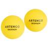 ARTENGO - Plastic Beach Tennis Balls Twin-Pack Title