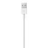 APPLE - Apple Lightning to USB Cable 1M