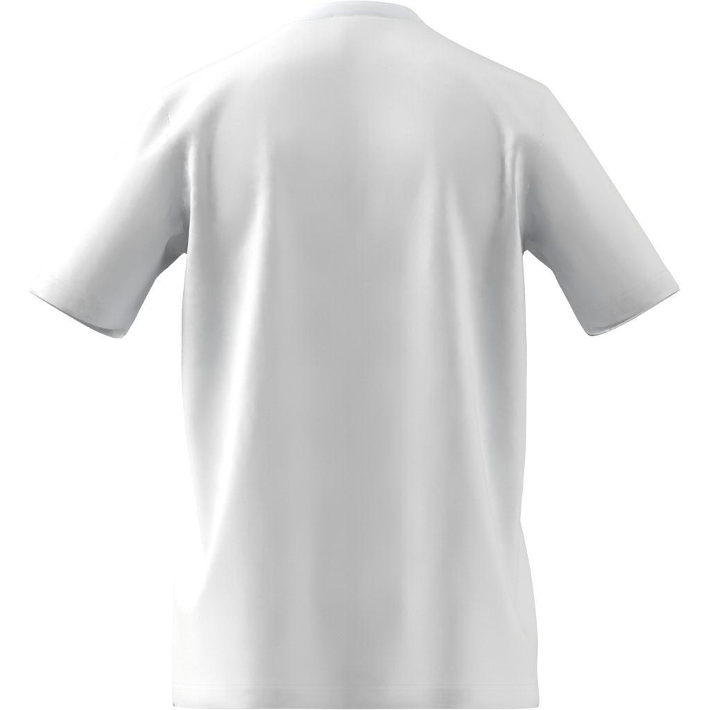 Essentials Big Logo T-Shirt, , large image number 12