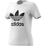 Adicolor Classics Trefoil T-Shirt, , large image number 14