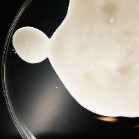 Niod Melanin & Its Role in Uneven Skin Tone