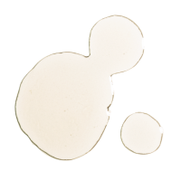 Niod A Functional Approach to Targeting Skin Pigmentation