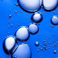 Team Regimen Series Paul Blatchford