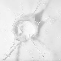 The Ord Team Regimen Series Jerome Clark