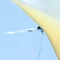 Modulating  Glucosides (MG)