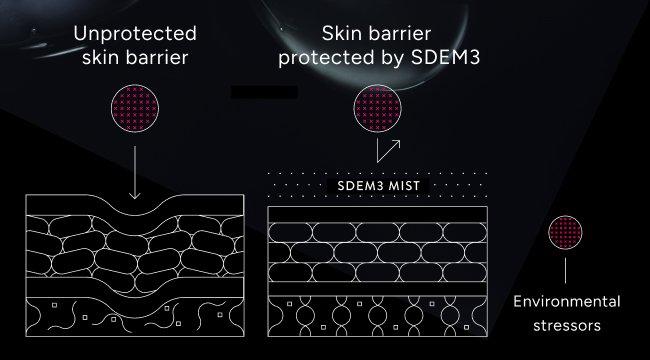 NIOD unprotected skin barrier vs skin barrier protected by sdem3