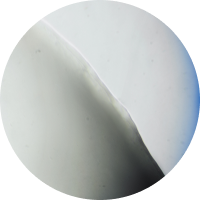 NIOD Superoxide Dismutase 3 Enzyme Mist (SDEM3)