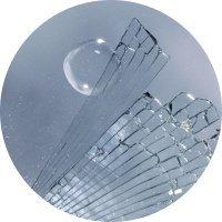 NIOD Superoxide Dismutase Saccharide Mist