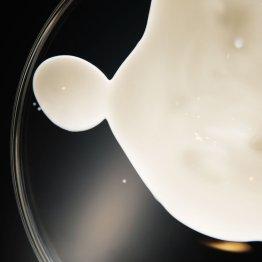 NIOD product swatch on petri dish