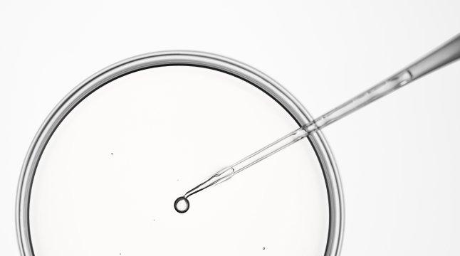 The Ordinary Why does skincare need preservatives?