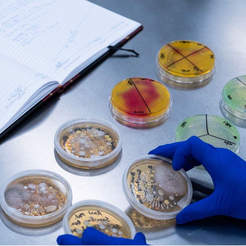 The Ordinary Why does skincare need preservatives?