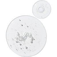 The Ordinary Product Swatch