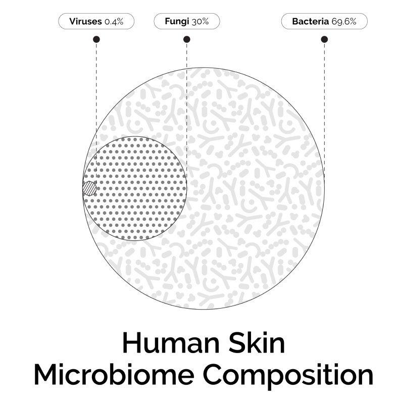 infographic about human skin microbiome composition