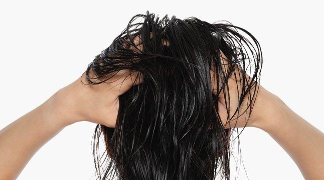 The Ord Scalp & Hair Health 