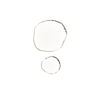 NIOD ELAN serum swatch