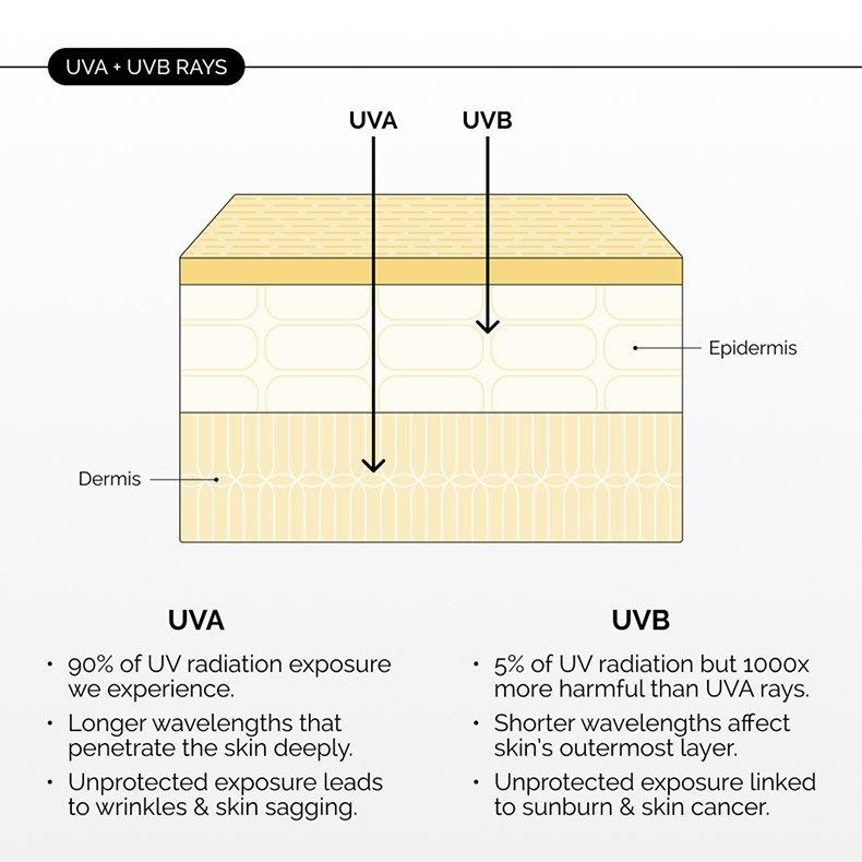 UVA vs UVB: Learn how different types of UV rays penetrate the skin, causing wrinkles, sagging, sunburn, and skin cancer. Understand sun protection for healthy skin.