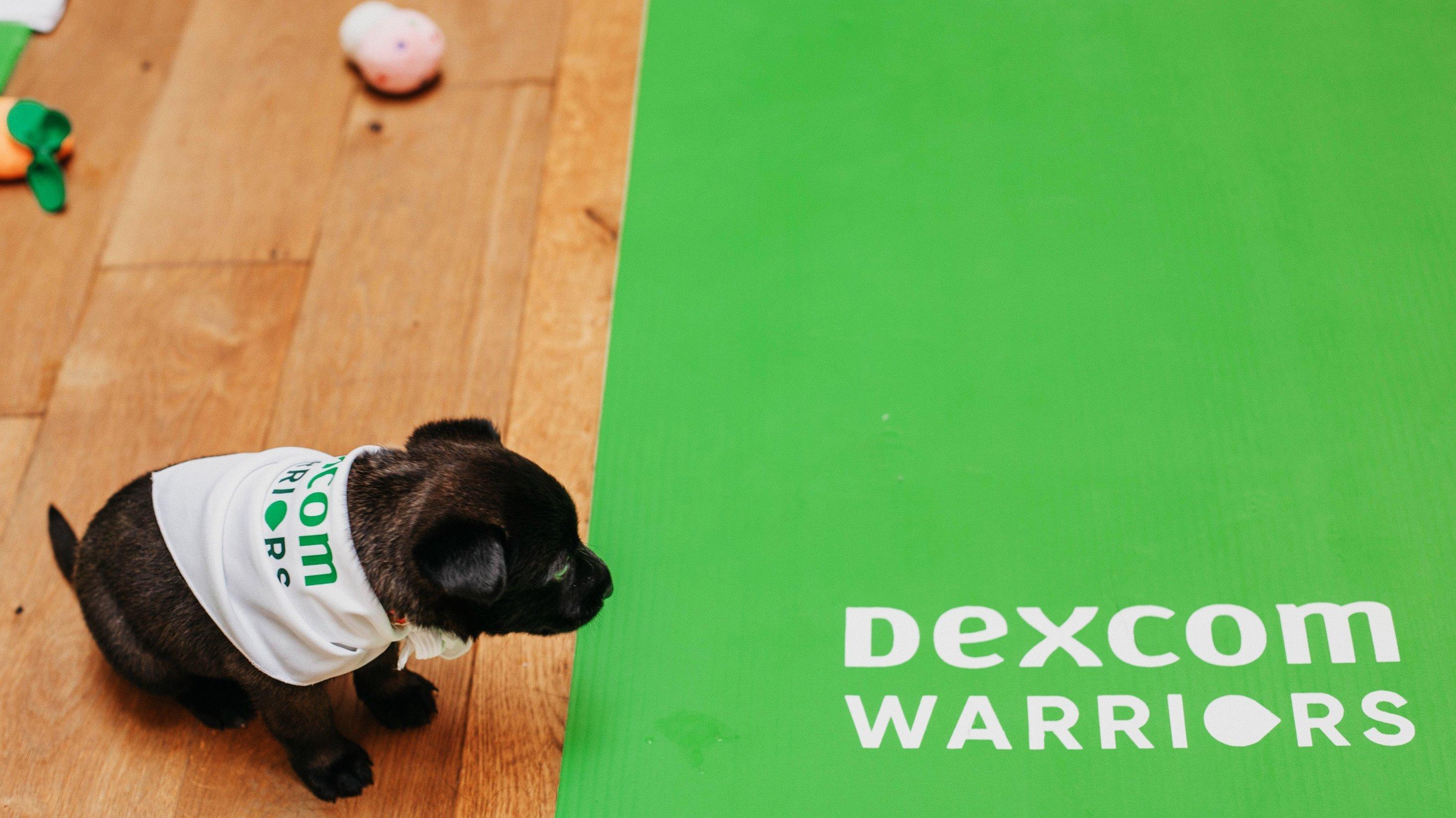 ​​​​​Diabetes Awareness Week 2023: Dexcom Puppy Yoga 