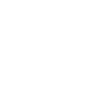 Shopping cart icon representing online purchase