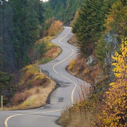 The Winding Road of Diabetes Management