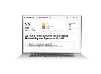 Dexcom CLARITY software on the laptop