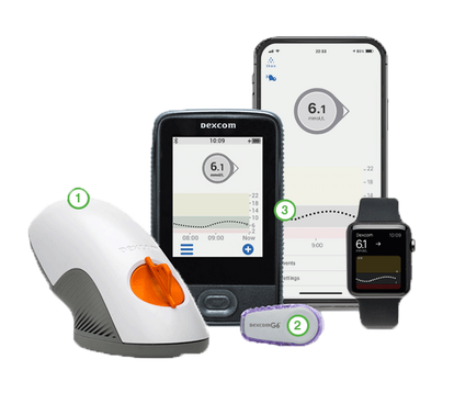 The Dexcom G6 CGM System, phone app, receiver, applicator, sensor, transmitter, and smart watch