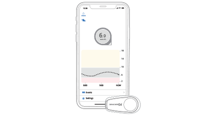 Dexcom G6 Continuous Glucose Monitoring System